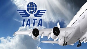 iata-training-programs-profileimgfile56ab5c7402b73