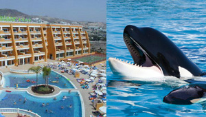 Loro Parque y hoteles Tenerife